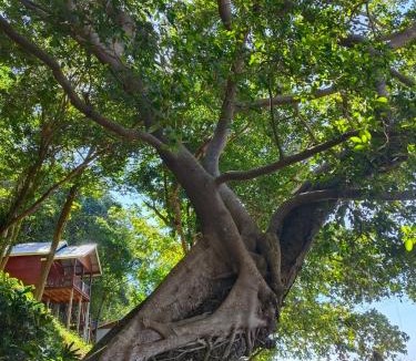 Nuea Khlong House | Kohjum Seafront Resort