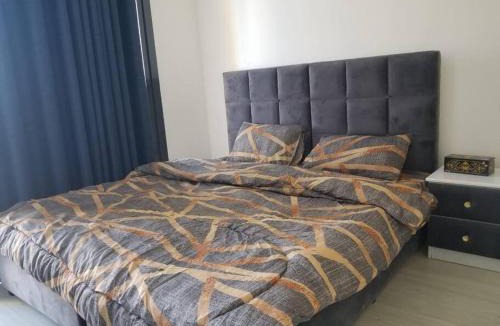 Dubai Villa | Luxurious 3bhk Villa in Dubai