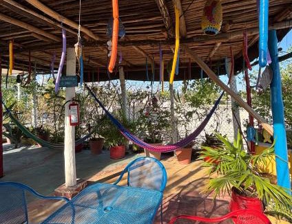 Tulum City Center Hotel | Maison Tulum