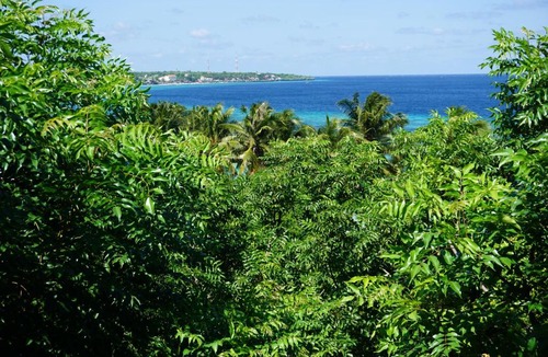 Bira Resort | Mangga Lodge