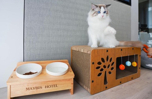 Mueang Samut Prakan District Hotel | Maybis Hotel