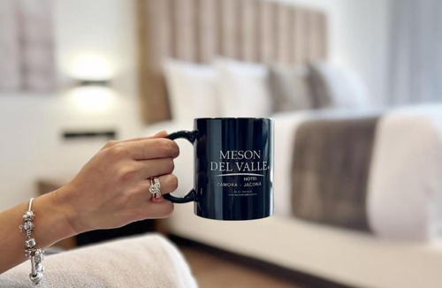 Zamora de Hidalgo Hotel | Meson del Valle