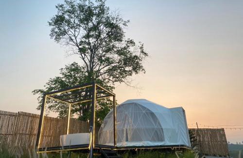 Nong Sarai Other | Moon Camp Khaoyai