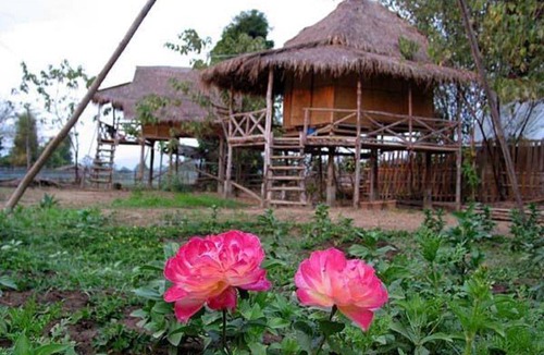 Pai House | Motel ∙ 8 guests