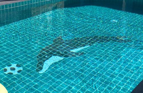 Kao Yai Villa | My PoolVilla Cha am