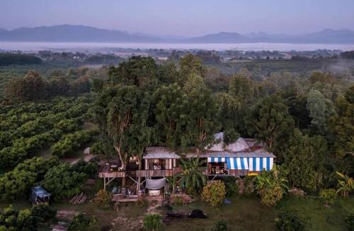 Phrao House | Napahong Treehouse นาป่าฮง