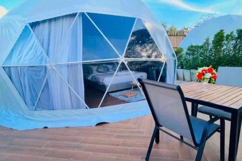 Dong Lan Hostel | Papa Q suite Hotel