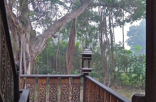 Nong Chok Resort | Peaceful Traditional Thai Wood House Experience w/Garden