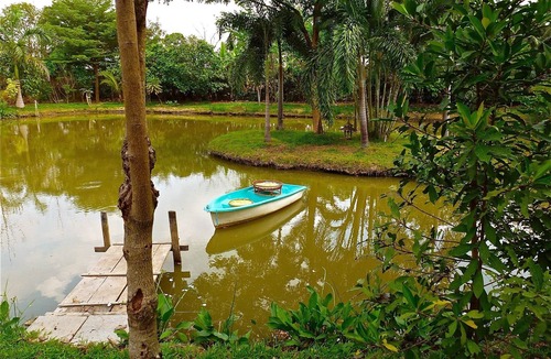 Nong Chok Resort | Peaceful Traditional Thai Wood House Experience w/Garden