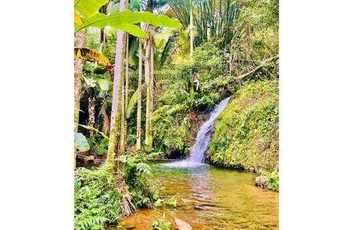 Hakalau Apartment | Private 36 acre parcel on the Hamakua Coast with waterfall, steam room, ice bath