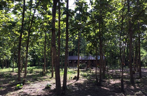 Wang Chan Resort | Private room ∙ 1 guest