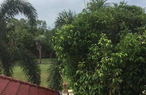 Bang Kruai Resort | Private room ∙ 2 guests