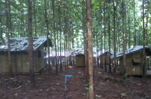 Samoeng Resort | Private room ∙ 2 guests