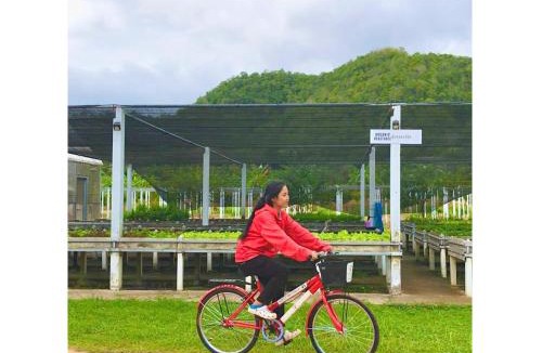 Huai Sat Yai Other | Quality Time farm stay: Yard house