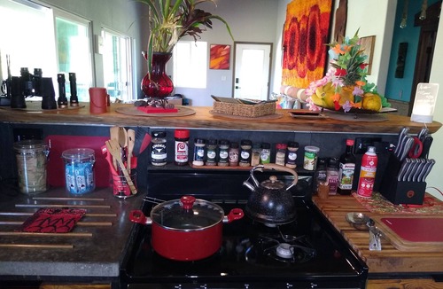 Fern Forest House | Rainforest Volcano Retreat – As Seen on TV! Near Volcanoes Nat’l Park