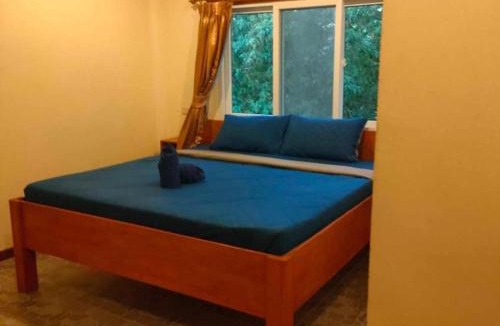Thong Sala Hotel | Ratatouille Guesthouse Koh Phangan