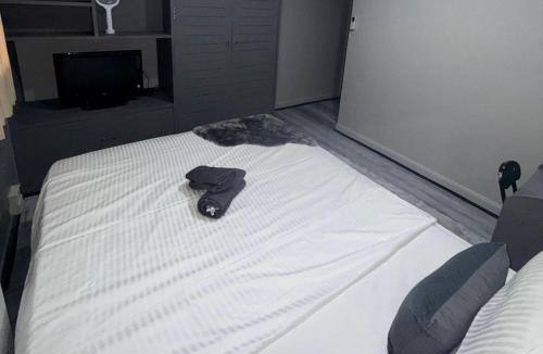 Asoke House | Ree Guesthouse