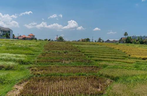 Cemagi House | Ricefield view 3BR designer Villa 1 min from beach