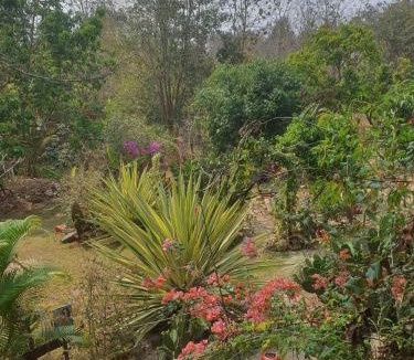 Soppong House | Rustic palace Pai, Thailand