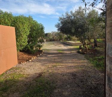 Algaida Apartment | Sa Torreta