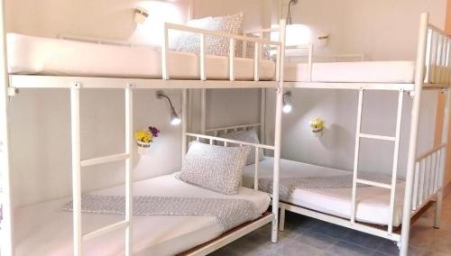 Chumphon Hostel | Salsa Hostel