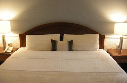 Lagos de Moreno Hotel | Scala Hotel