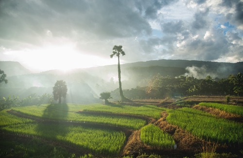 Ban Luang Hotel | Suan Sook Homestay