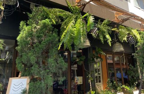 Chang Phueak Hostel | Suthep Gate Hostel