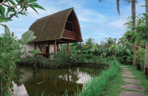 Taro Villa | Umadesa Villa Tegallalang Ubud