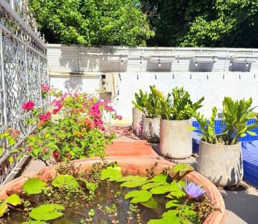 Vientiane Hotel | Vientiane Ruby Villa Hotel