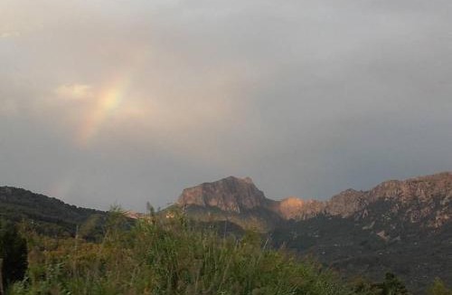 Soller House | Villa Frontera