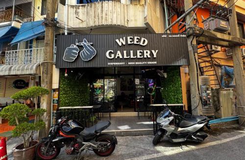 Pattaya Bay House | W33d Gallery Pattaya