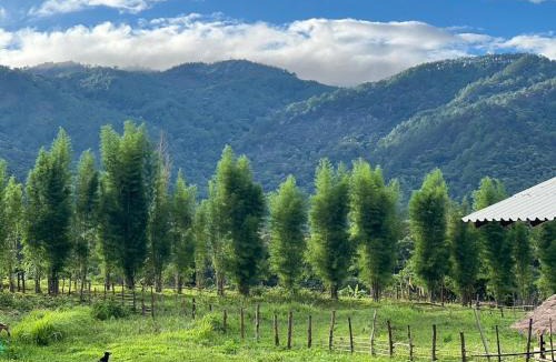 Mae Wang House | zen mountain farmstay