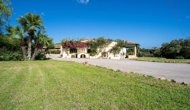 1 bedroom accommodation in Capdepera