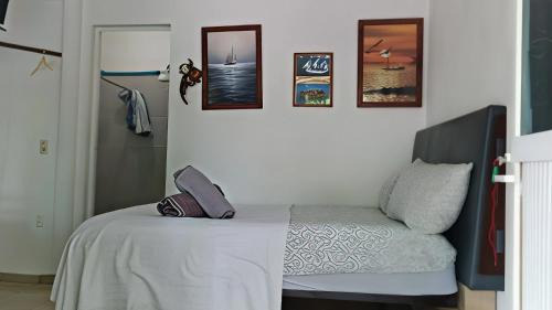Affordable, Comfortable, and Convenient – Barcos