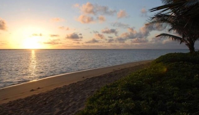 Beachfront Studio Cottage