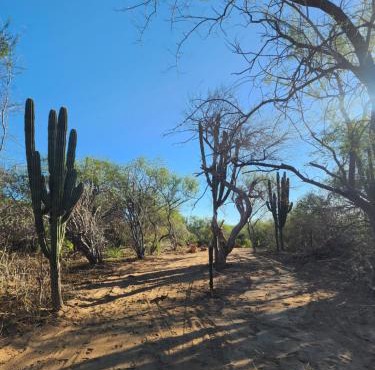 Casa Rancho