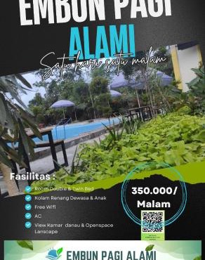 Embun Pagi Alami