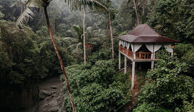 Exceptional 9BR Incredible Jungle View, River Access