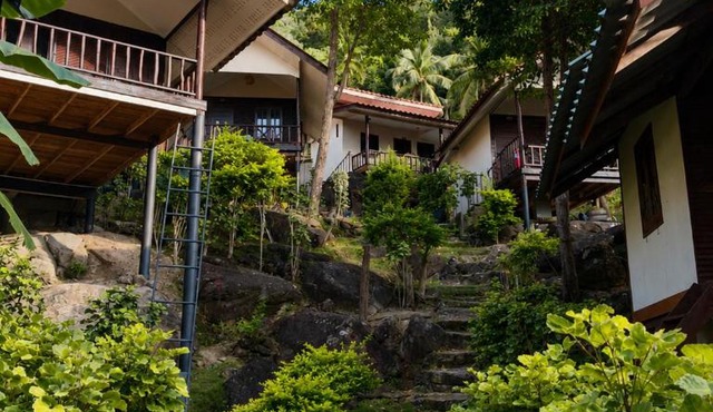 Flow Jungle Residency