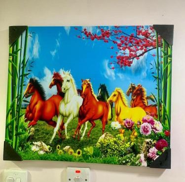 Harmony Home