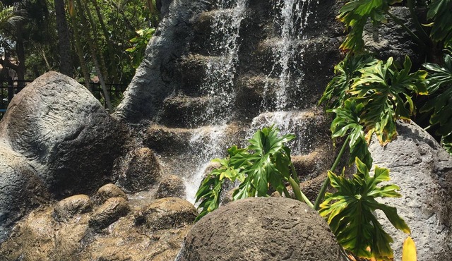 Hotel Coral Reef
