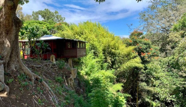 Romantic waterfall cabin in the rain forest