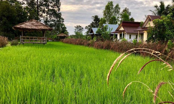 Prasat Resort | 18 m² Resort ∙ 2 guests