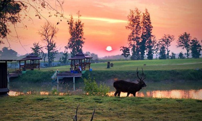Chom Bueng Resort | 35 m² Resort ∙ 3 guests