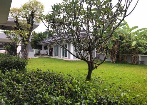 Ban Kruat Bed & Breakfast | 45 m² Bed and breakfast ∙ 2 guests