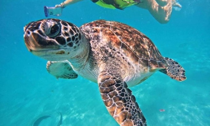 Tankah Condo | Condo in Gated Resort Community Grand Sirenis Riviera Maya.