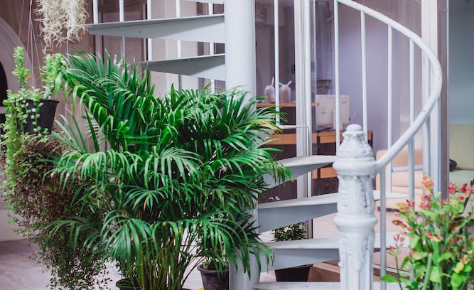Nana Hotel | NK Guesthouse 2