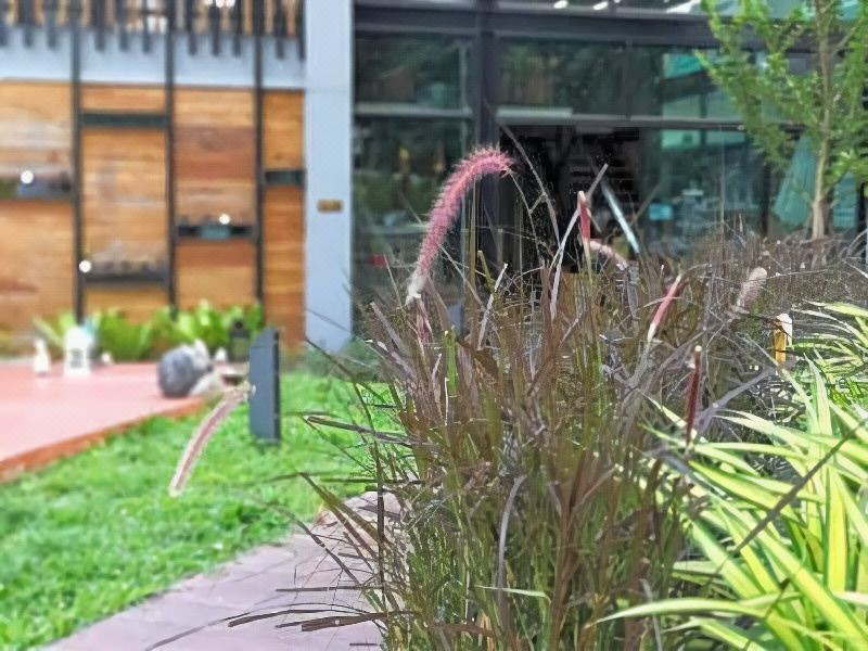 Photo of Patio Balcony in Wieng
