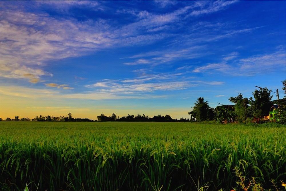 Photo of Outdoor in Phrao